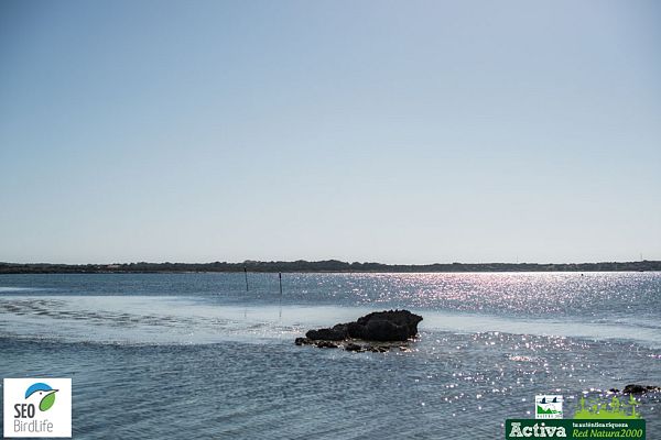 Red Natura 2000 - Ses Salines d'Eivissa i Formentera