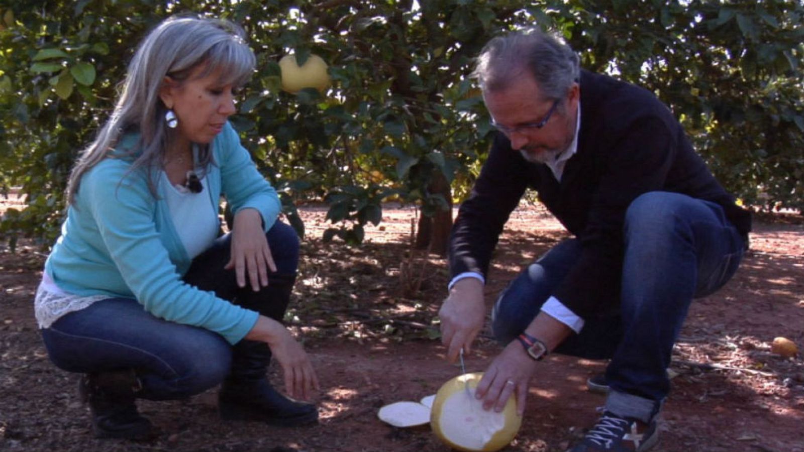 La zamboa y otros primos de la naranja