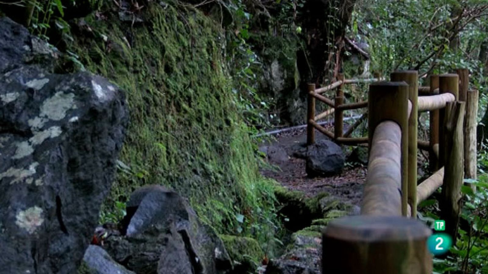La Aventura del Saber. Los Tilos. La Palma