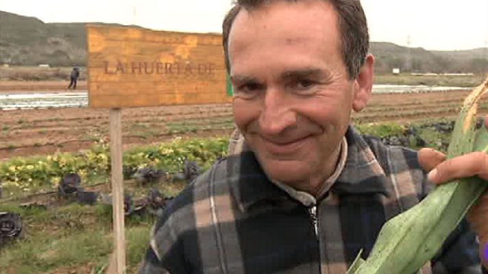 Aquí la Tierra - Puerros en tu propia casa