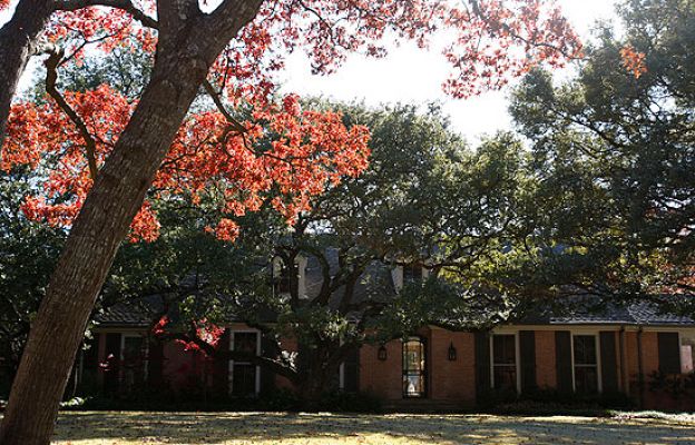 La 2 Noticias - La 'choza' de Bush