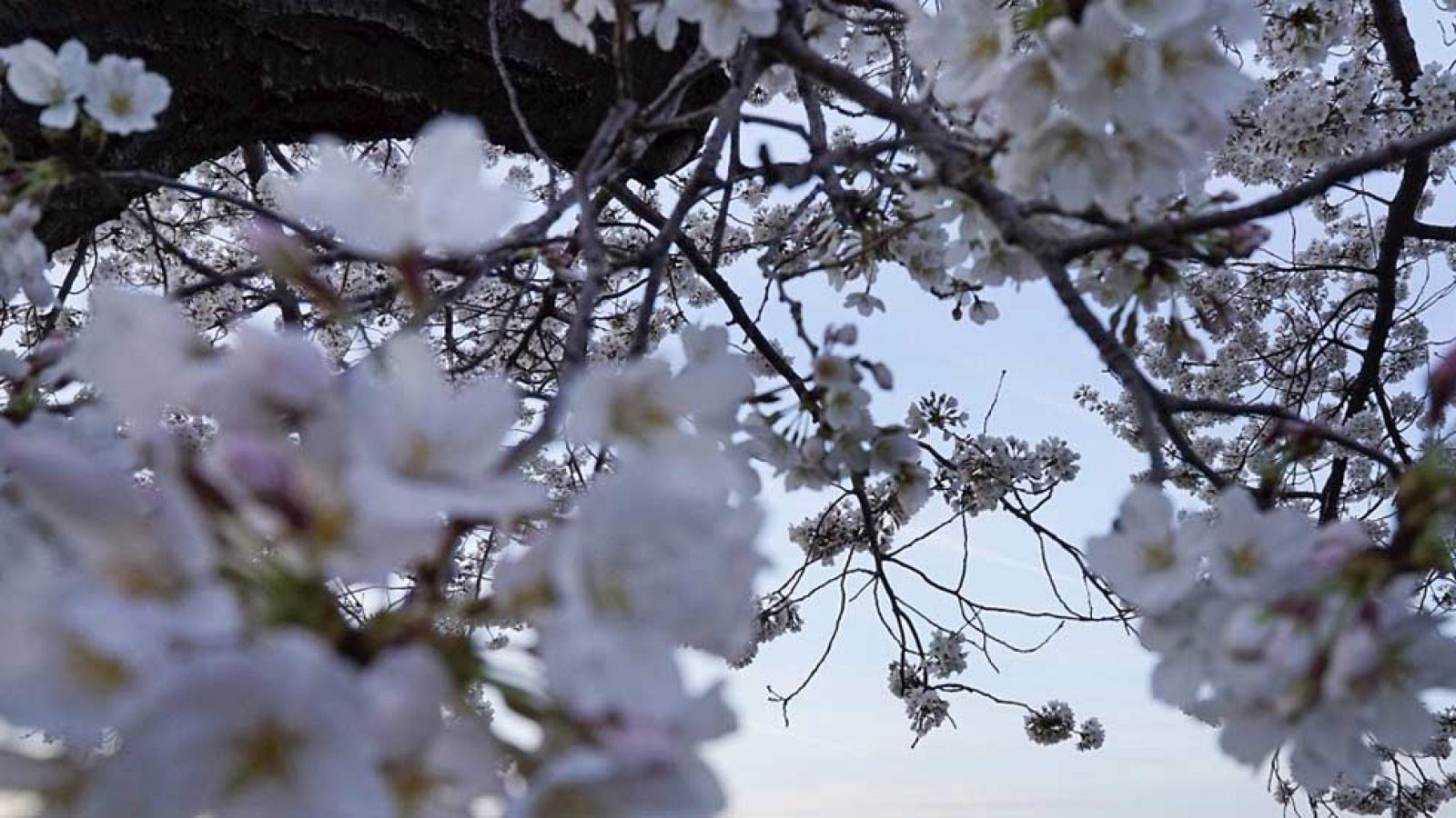 Suben las temperaturas en todo el país