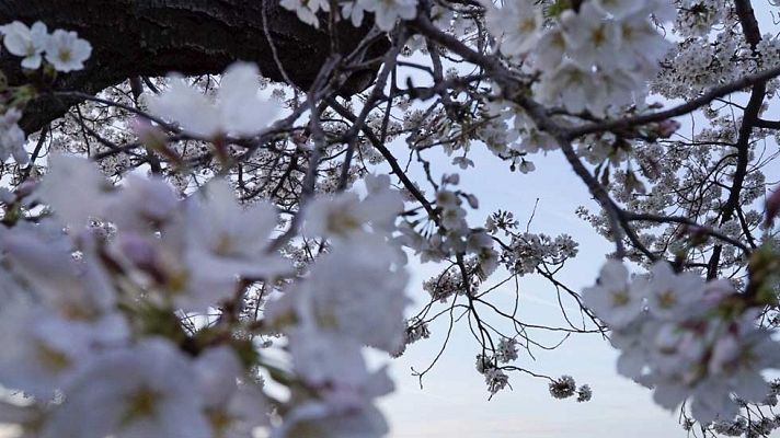 El tiempo - Suben las temperaturas en todo el país