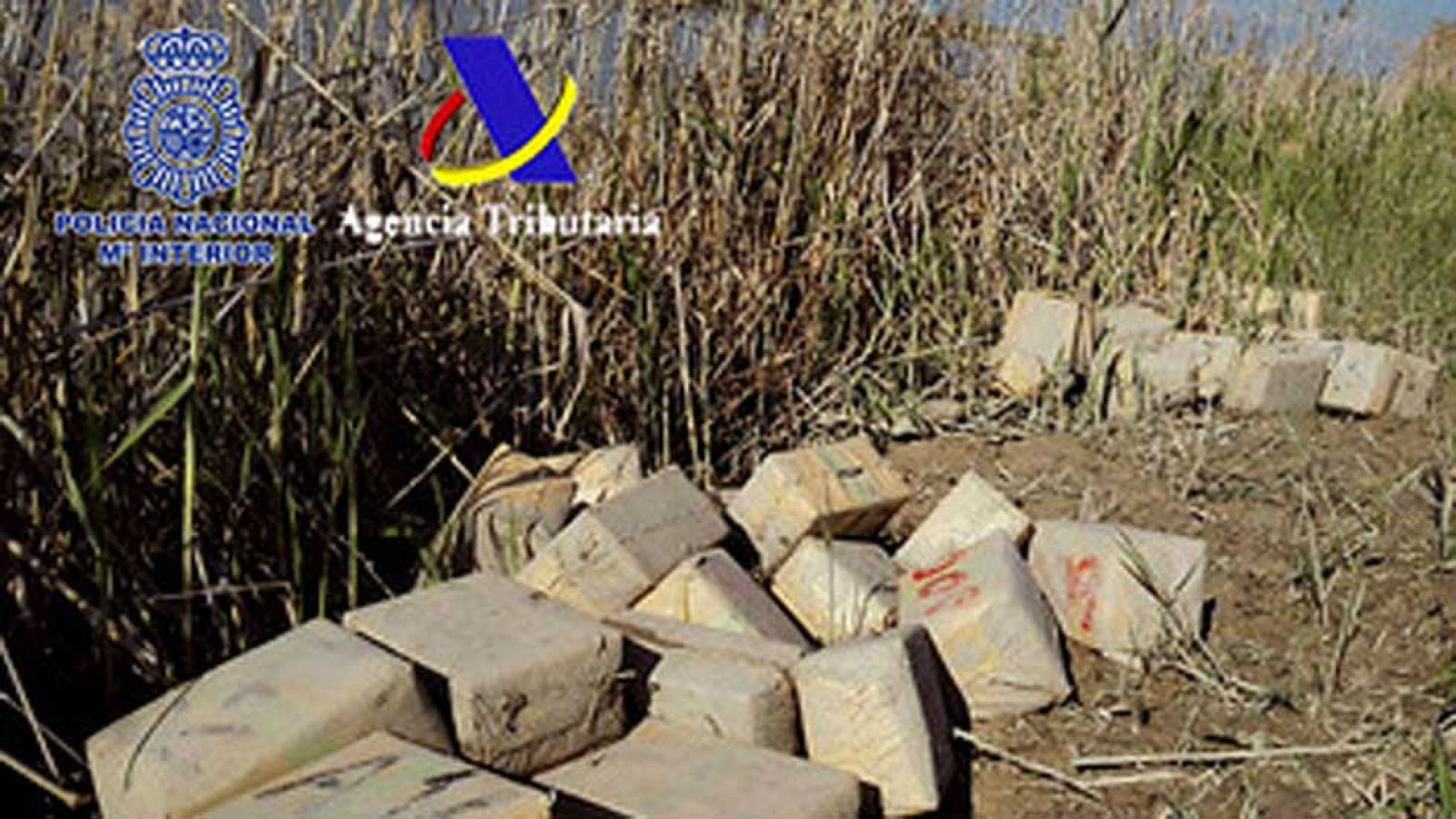 Diecinueve detenidos de una red de narcotraficantes que enviaba hachís de Marruecos a Francia