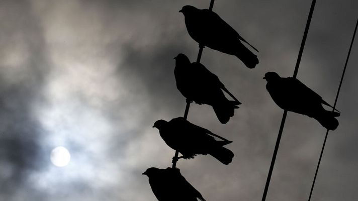 El tiempo - Lluvias generalizadas y temperaturas mínimas en ascenso