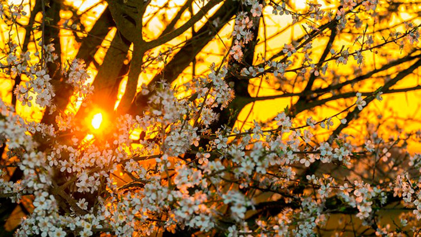 Aumenta la inestabilidad desde el oeste y suben las mínimas