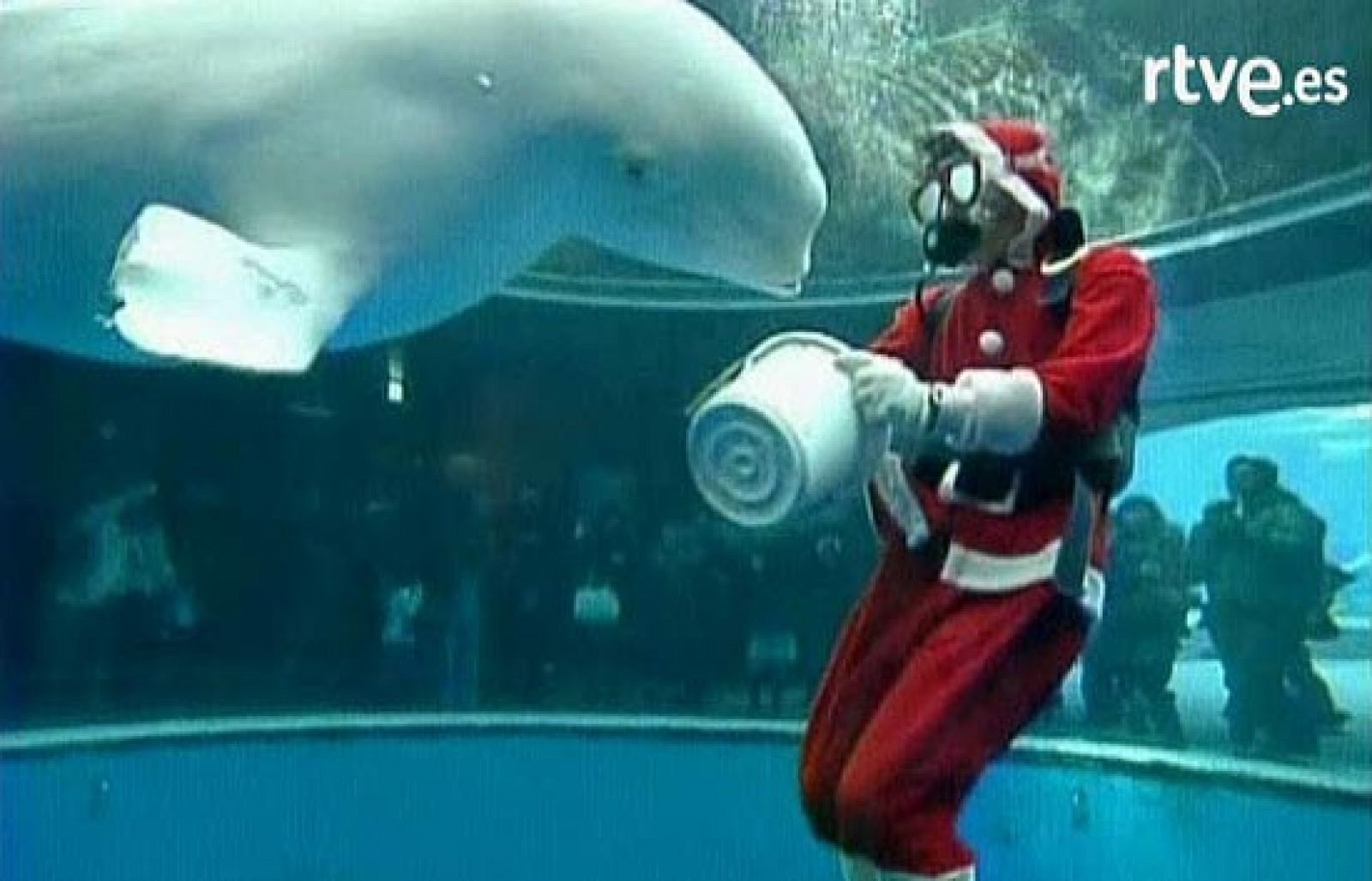 ¿Postal navideña? | Ver