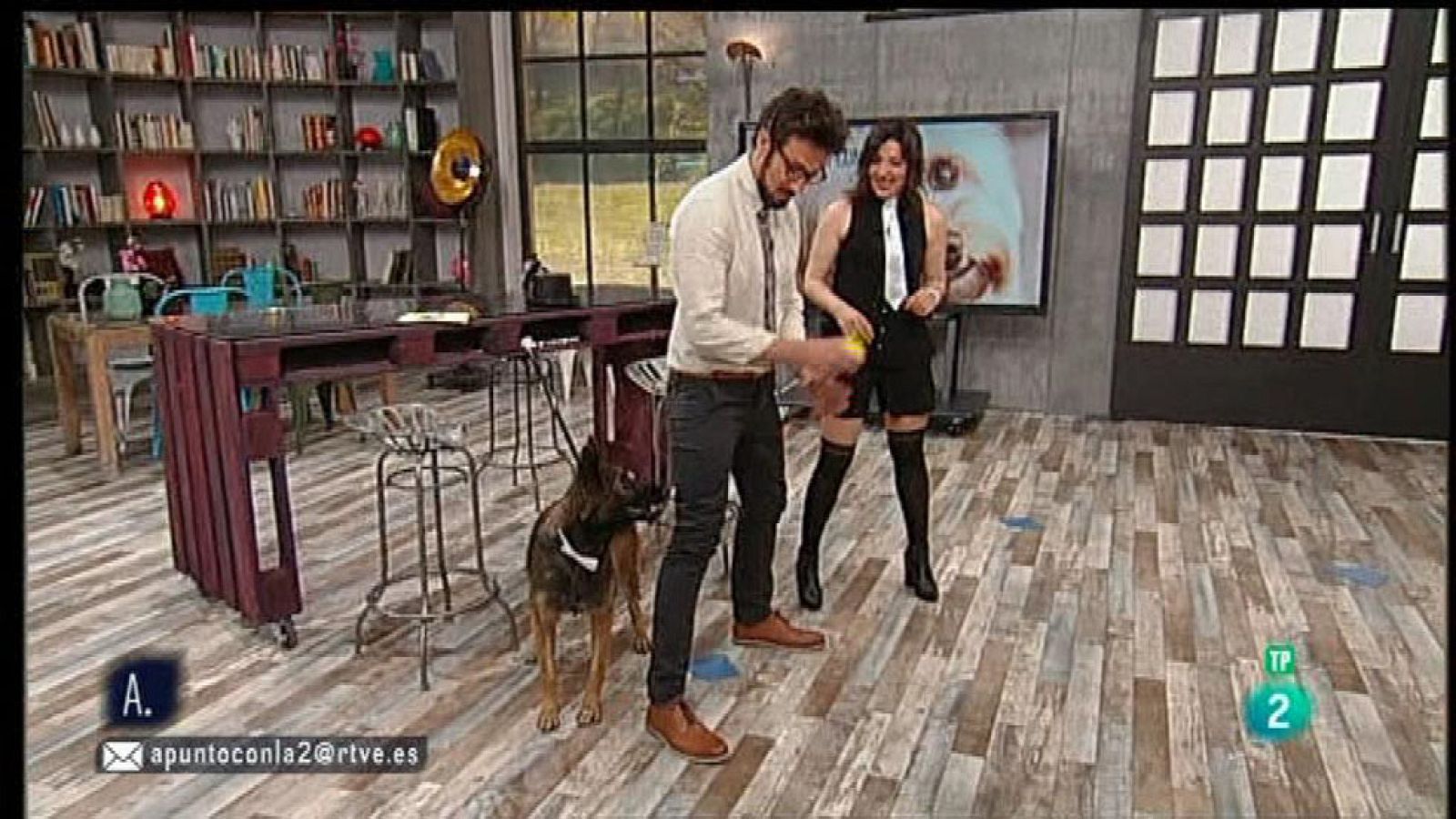 A punto con La 2 - Animales en casa - El 'Dog Dancing'