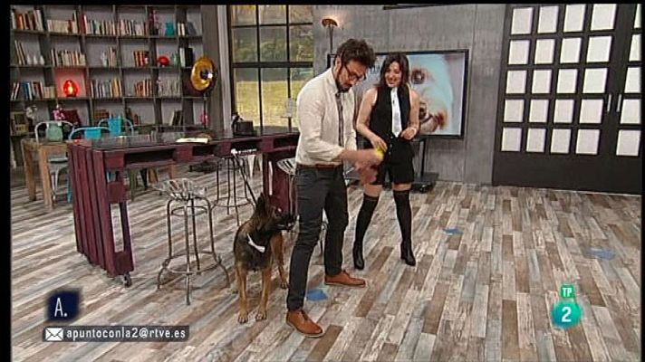 A punto con La 2 - El 'Dog Dancing'