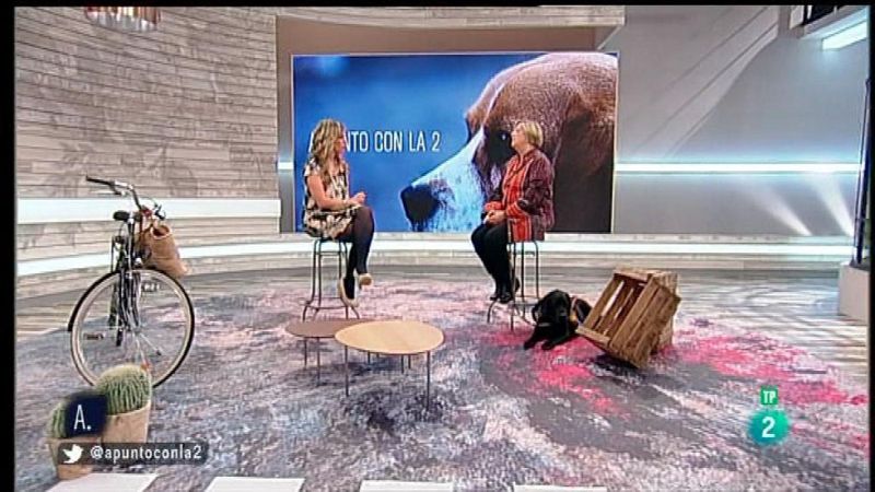 A punto con La 2 - Animales en casa - Los perros gu�a y la seguridad vial