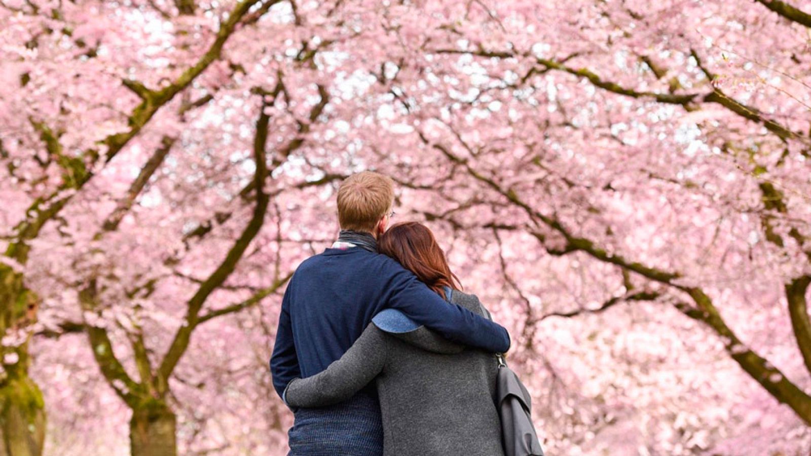 Una veintena de provincias en alerta por nieve y precipitaciones