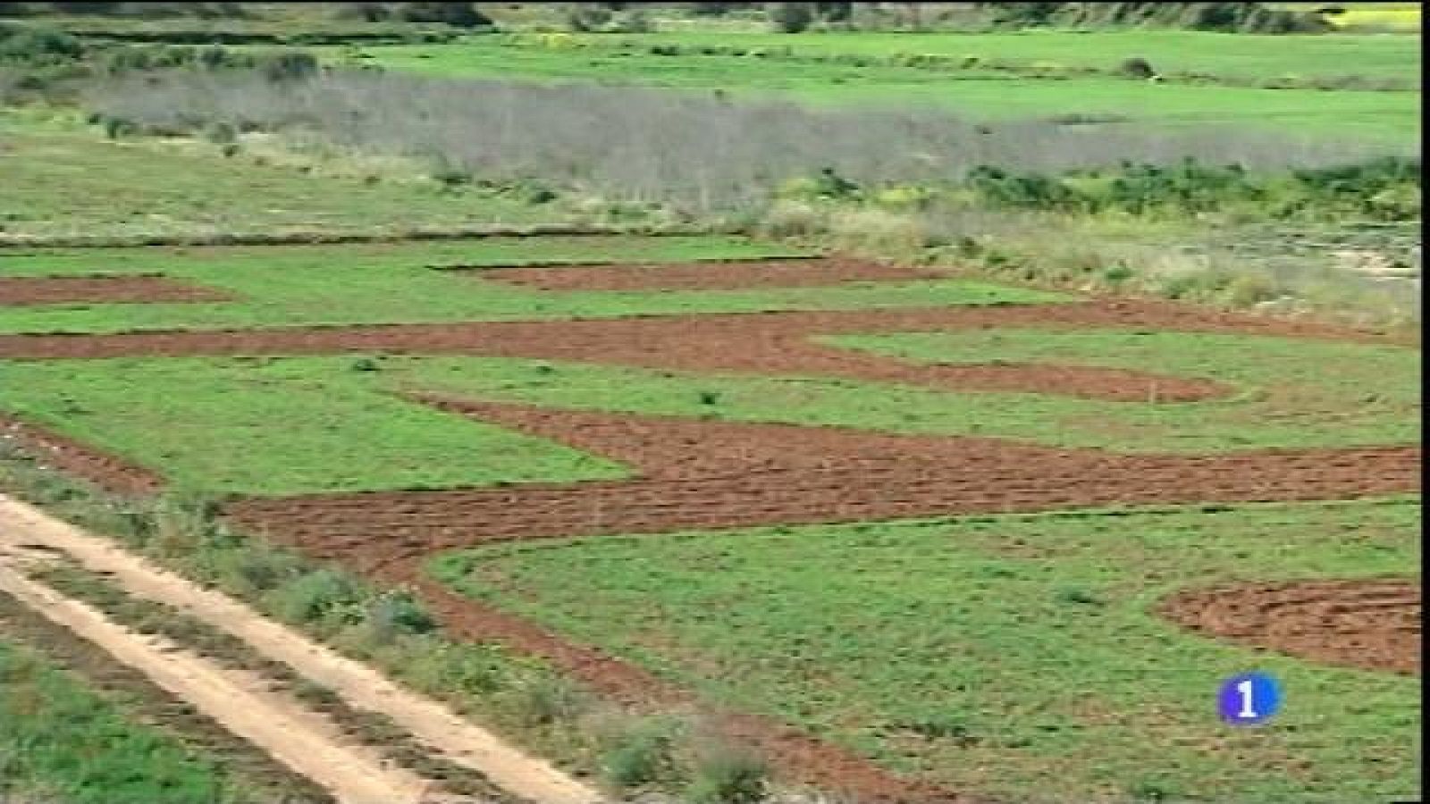 Un missatge a l'hort