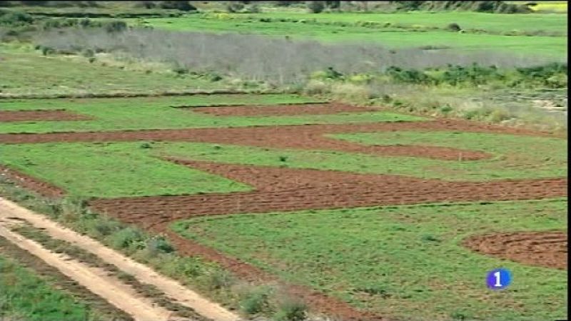 Un missatge a l'hort