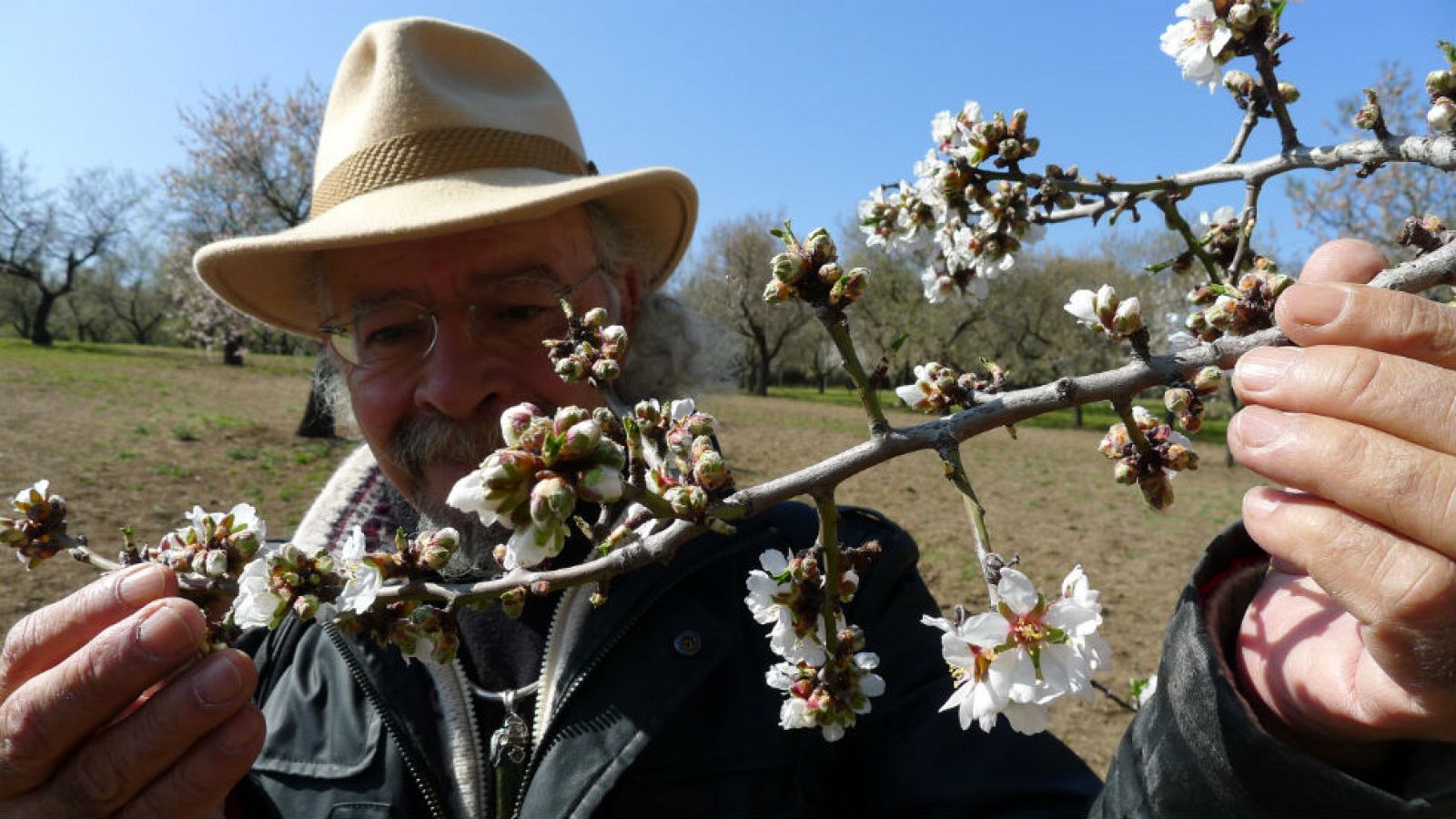 Juan Plantas y el truco del almendruco