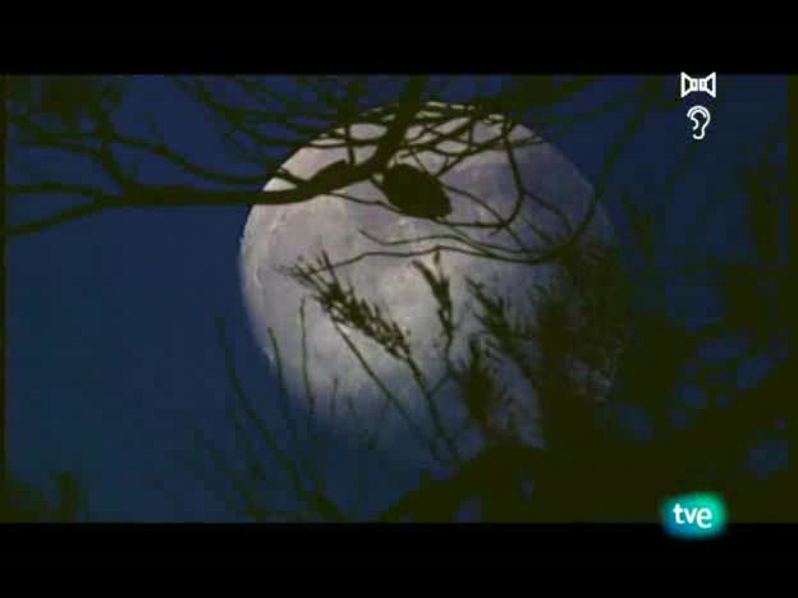 Jara y sedal - Crónica de pesca 2008 - Jara y sedal | Ver