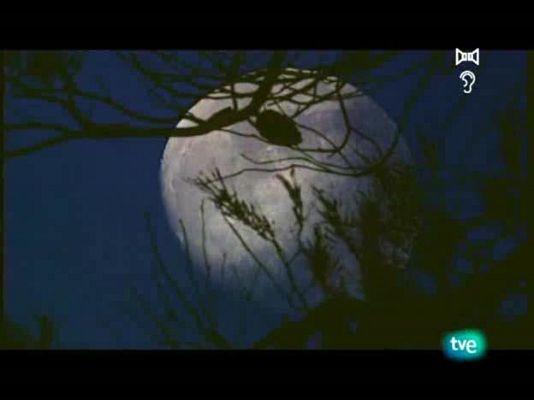 Jara y sedal - Crónica de pesca 2008