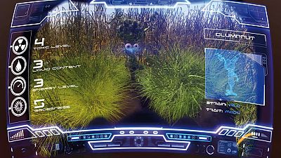 Salvaje y chiflado - Fungus Amungus | Ver