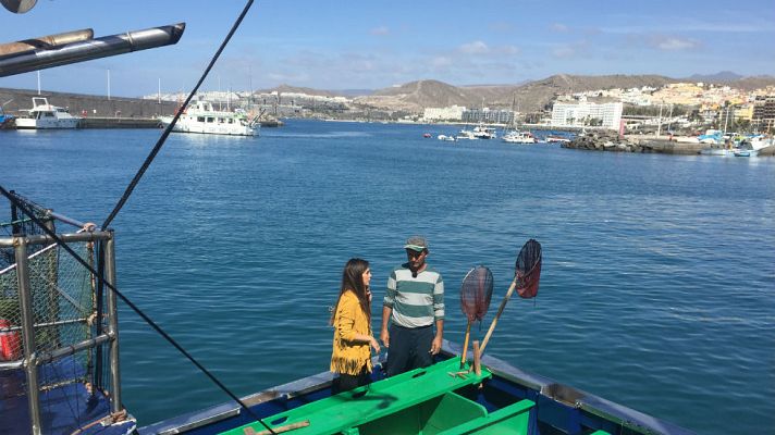 Aquí la Tierra - Adopta a Marta: aventuras en el mar