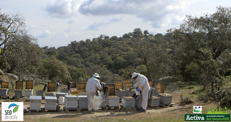 Red Natura 2000 - Apicultores en la Sierra de Andújar - Avance