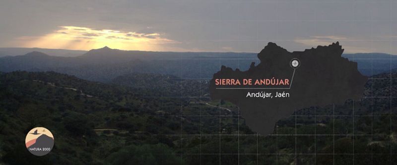 Red Natura 2000 - Sierras de Andujar (Jaén)