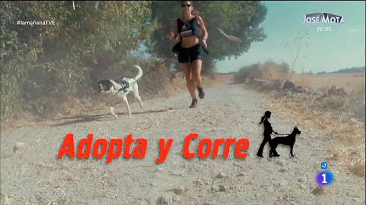 La mañana - Adopta y corre