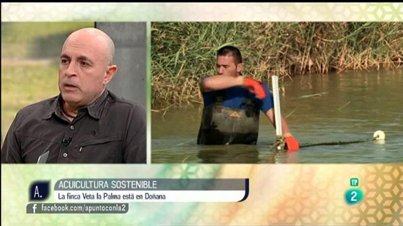 A punto con La 2 - Proyectos solidarios - La finca Veta La Palma