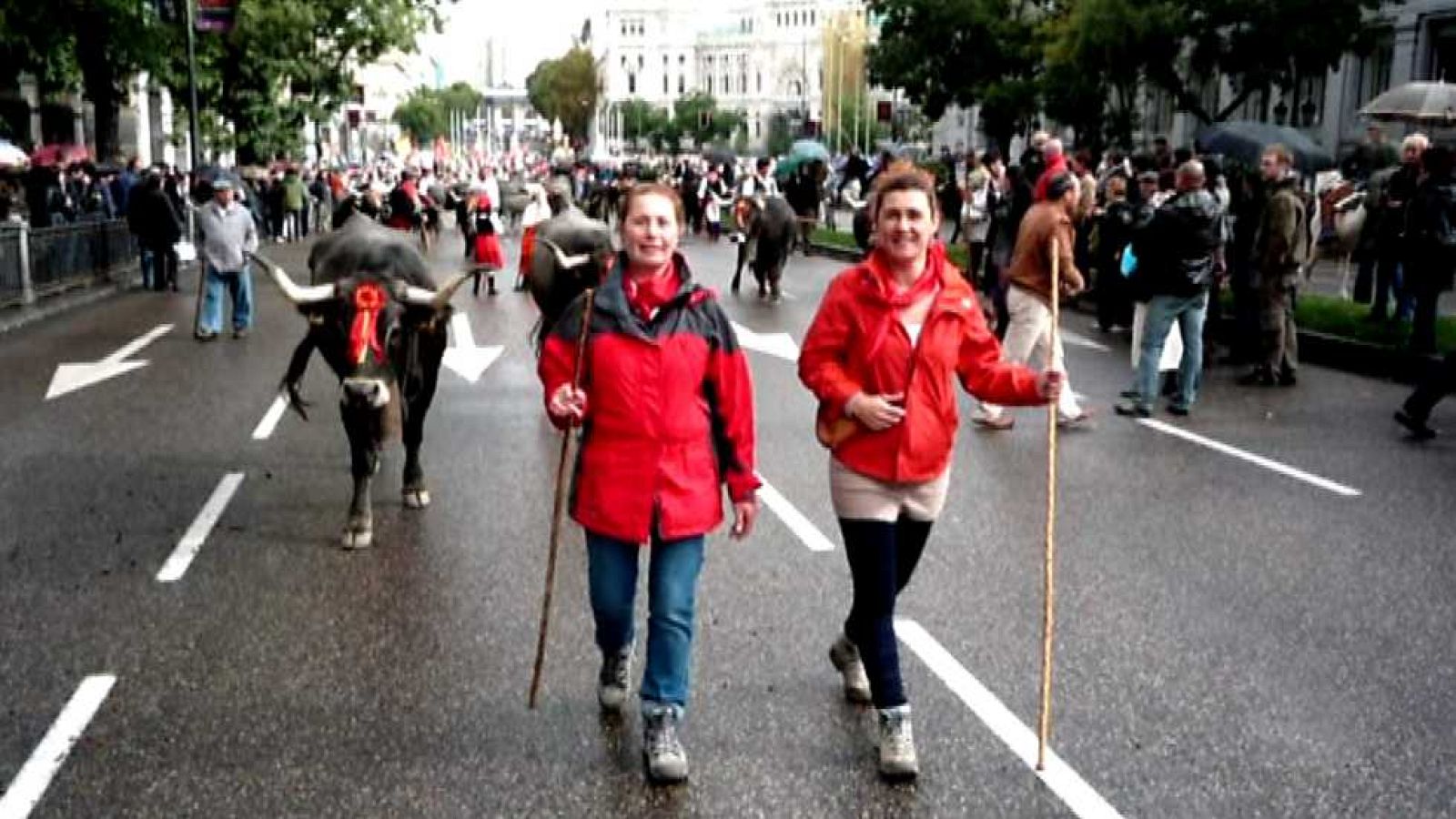 El escarabajo verde - A paso de vaca (2) - ver ahora