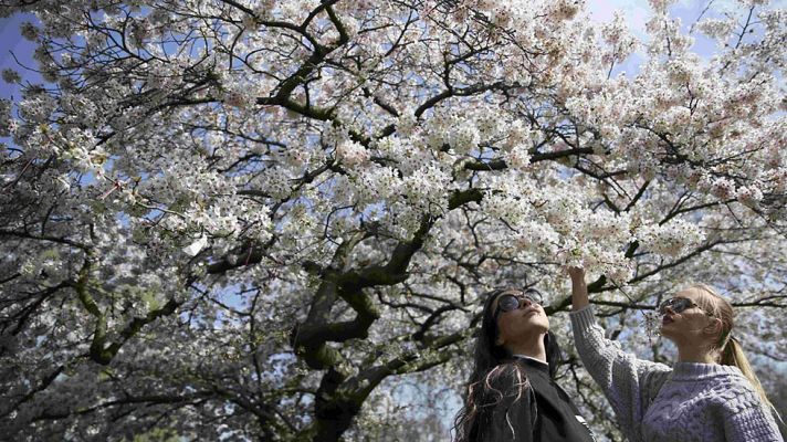 El tiempo - Lluvia en el norte y temperaturas al alza en gran parte del país