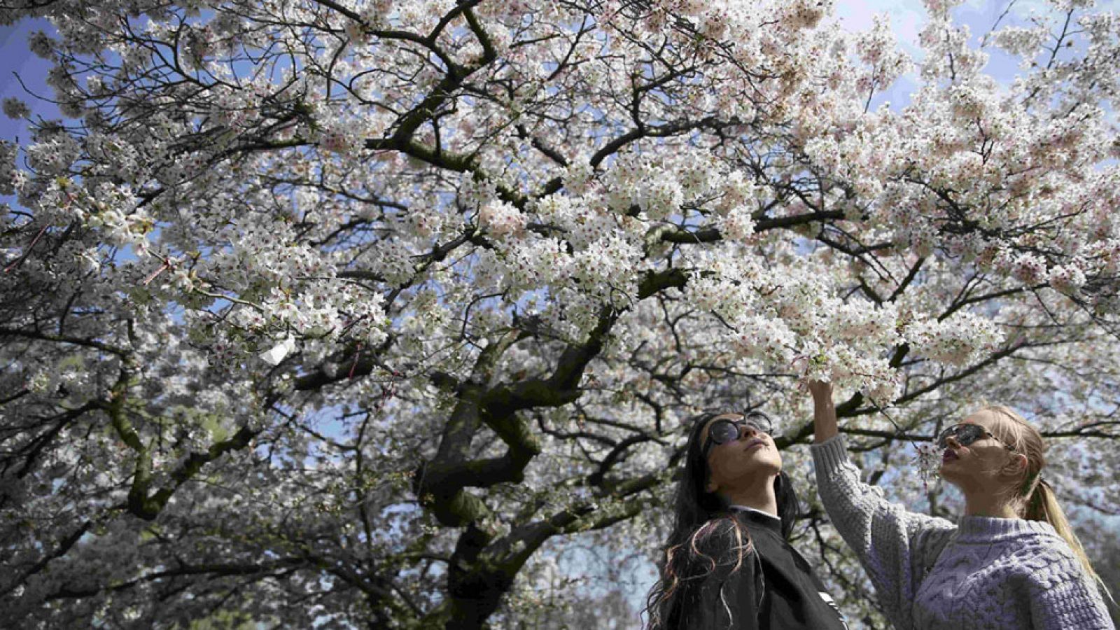 Lluvia en el norte y temperaturas al alza en gran parte del país
