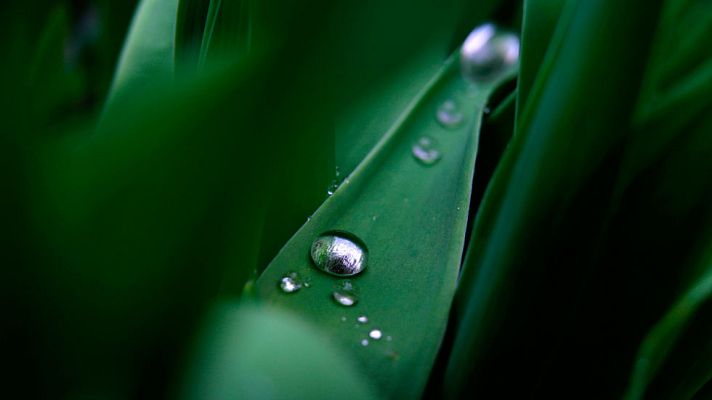El tiempo - Precipitaciones persistentes en Galicia y los Pirineos
