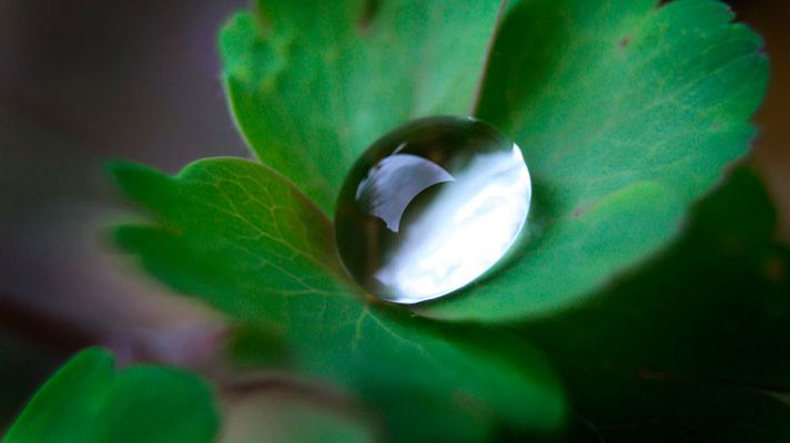 El tiempo - Cielos nubosos con precipitaciones en la vertiente atlántica peninsular y los Pirineos