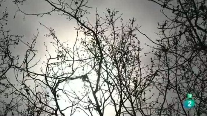 Página Dos - Recomendaciones de 'Página Dos'