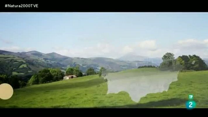 Red Natura 2000 - Quesos de Belate