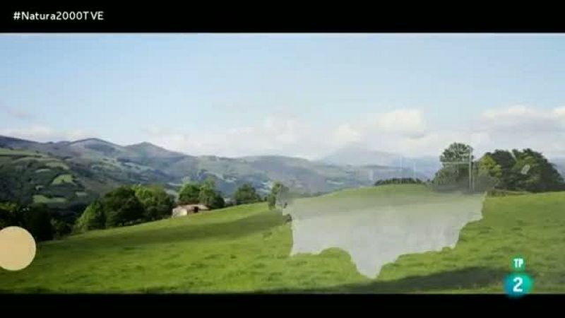 Red Natura 2000 - Quesos de Belate