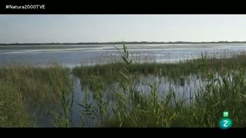Contando tradiciones en el Delta del Ebro