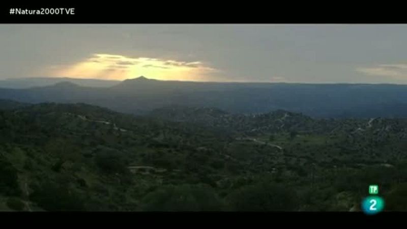 Apicultores en a Sierra de Andújar