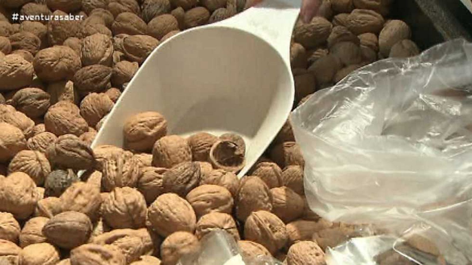 La aventura del saber - 11/04/16 - Ver ahora