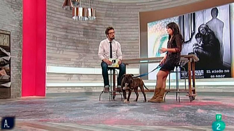 A punto con La 2 - Animales en casa - Animales v�ctimas de violencia