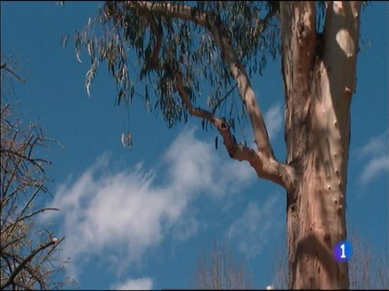 El tiempo en Asturias - 11/04/16 | Ver