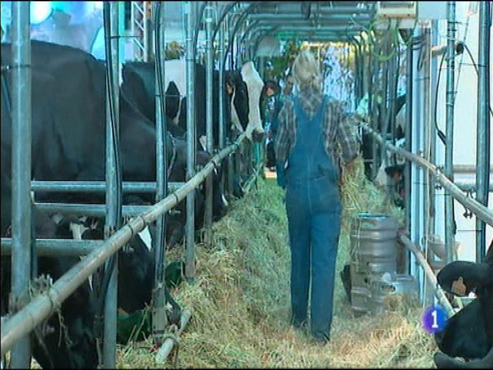 Panorama Regional - 11/04/16 | Ver