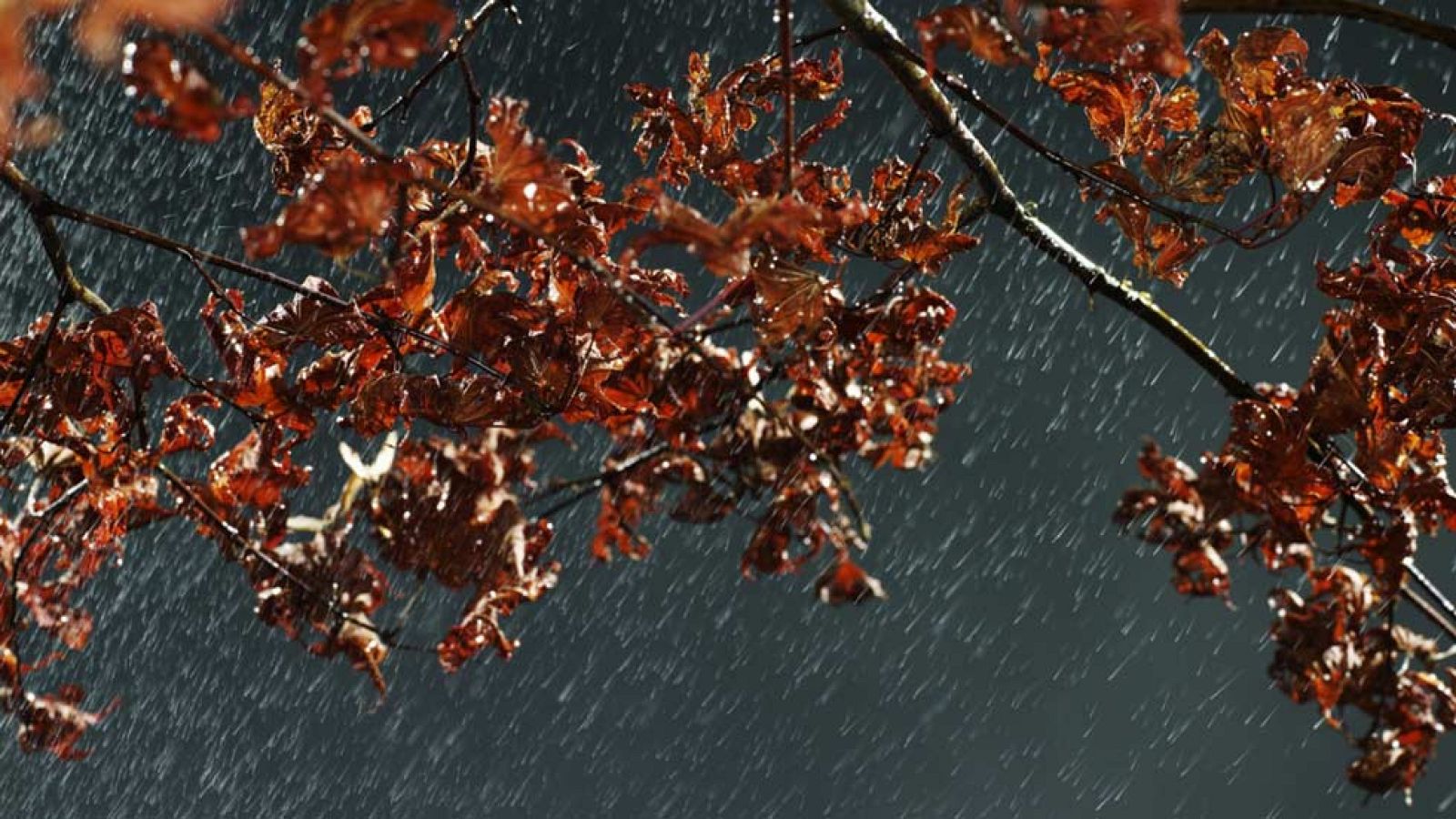 20 provincias en alerta  por viento, oleaje, lluvias y nieve