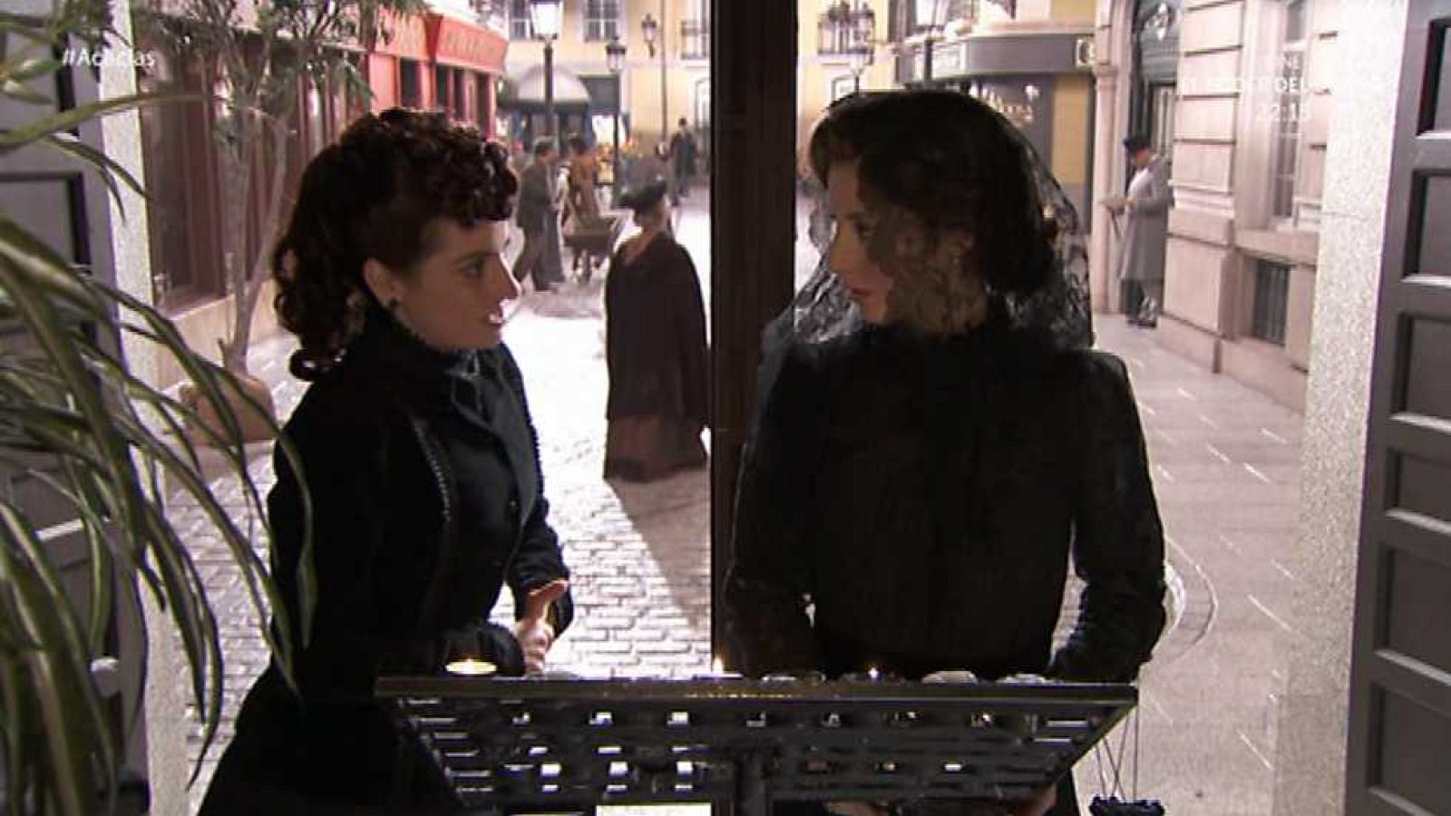 Acacias 38 - Capítulo 253 - Ver ahora