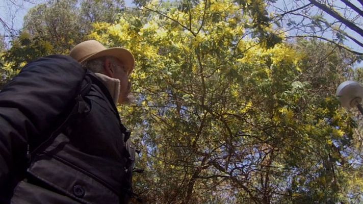 Aquí la Tierra - Juan Plantas y su amor por el eucalipto