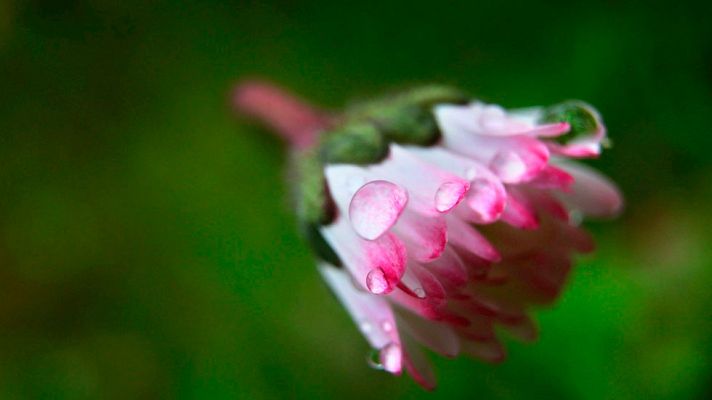 El tiempo - Más viento y lluvia en el norte y el Sistema Central
