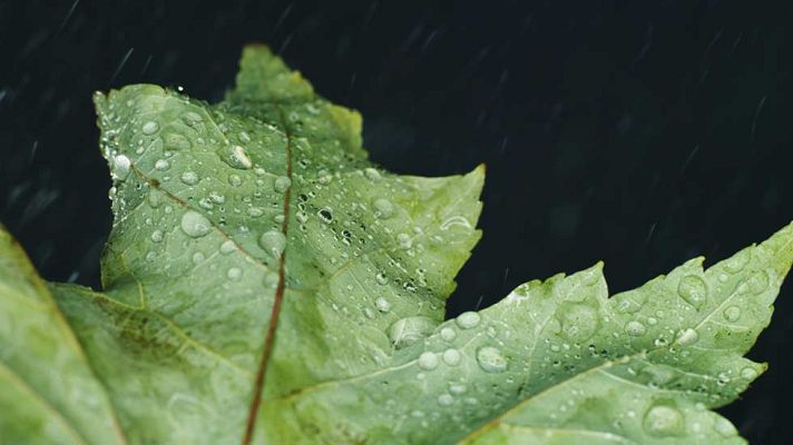 El tiempo - La lluvia presente en casi toda España en una jornada con ascenso de temperaturas