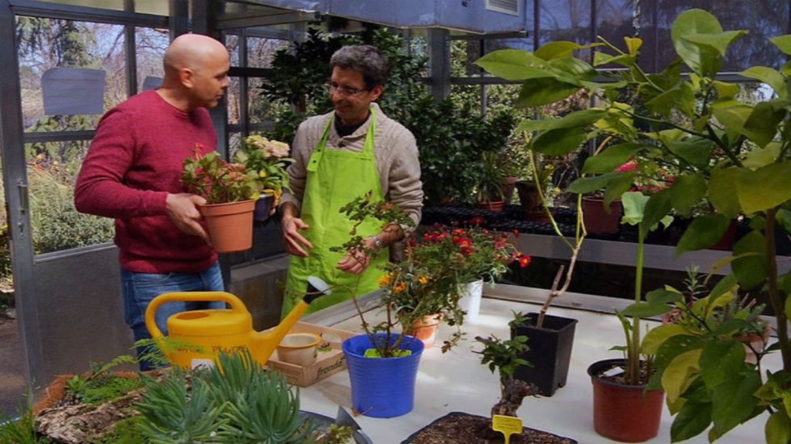 Un hospital para plantas