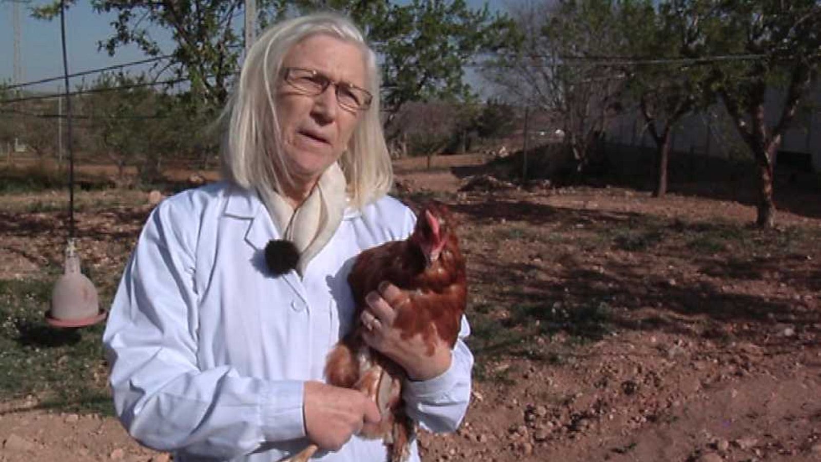 Aquí la Tierra - 12/04/16 - ver ahora