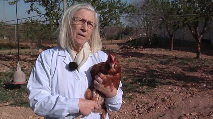 Aquí la Tierra - Aquí la Tierra - 12/04/16