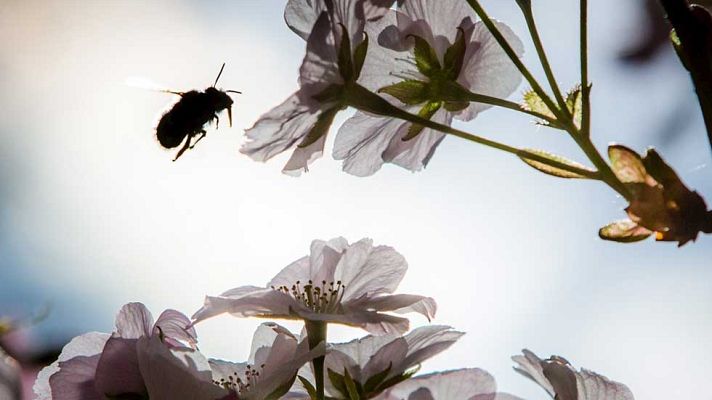 El tiempo - Cielos nubosos o cubiertos en la vertiente atlántica  peninsular