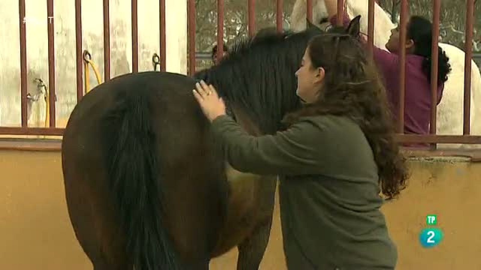 Nuevas tendencias de FP que funcionan - Aquí hay trabajo | Ver